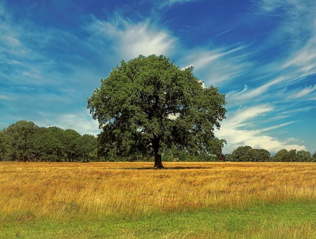 50084356867_9f10287014_c (1)