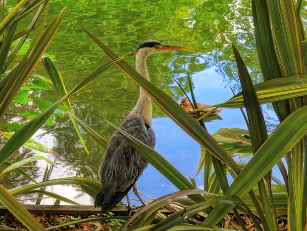 50104710317_54d1827b13_c (1)