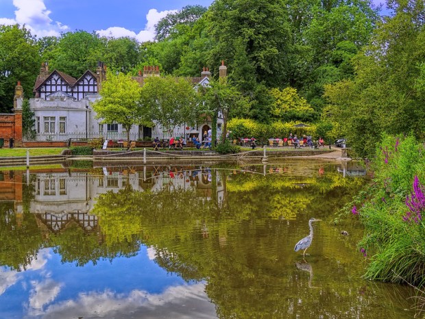 50104732236_5f3a15f520_c (1)