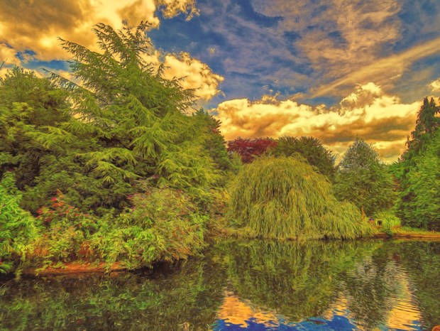 50151847056_005ba894bc_c (1)