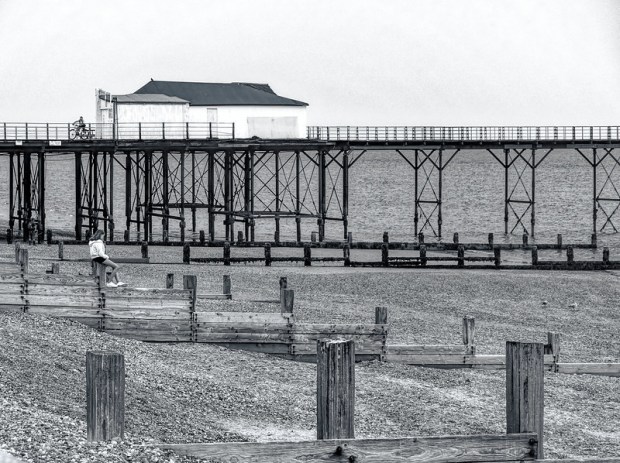 50231379563_59bcbdd546_c