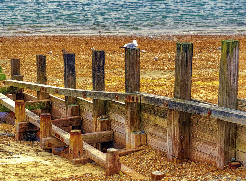 50232223921_b0ee61e827_c